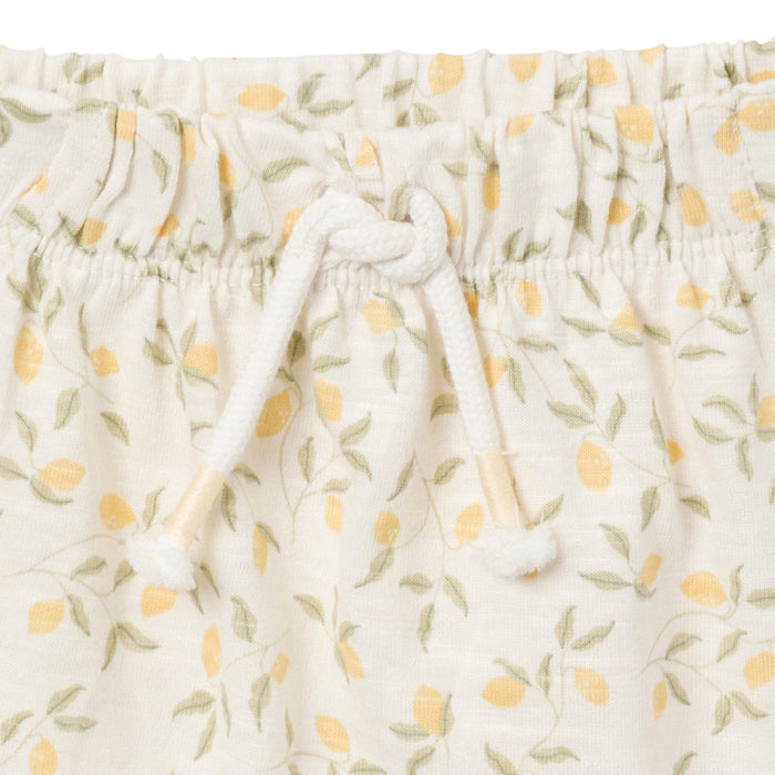 4-Piece Baby Girls Ivory Lemon Vines/Light Yellow Sleeveless Peplum Tops and Shorts Set