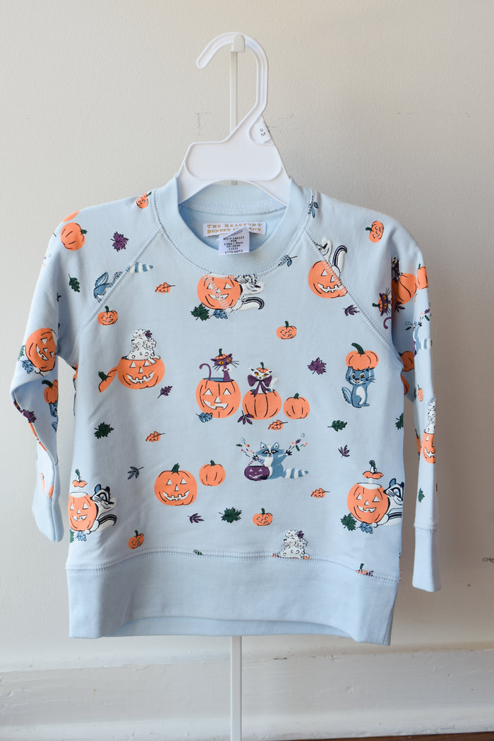 Cassidy Comfy Crewneck-Candy and Critters