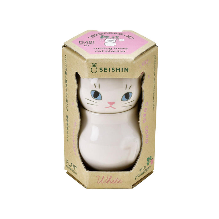 Corocoro Cats - White