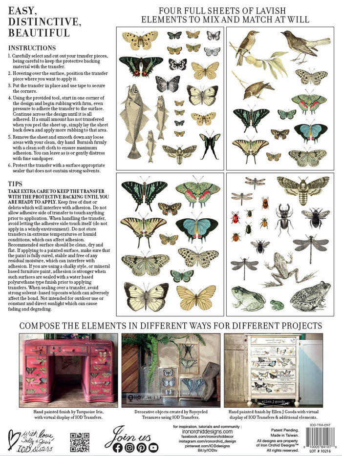 Entomology IOD TRANSFER