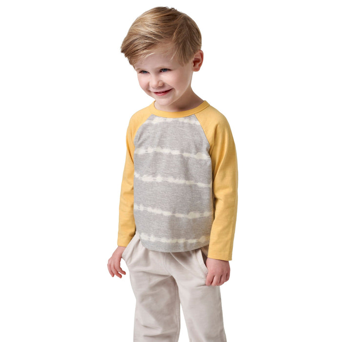 2-Pack Baby & Toddler Boys Grey & Rust Tie Dye Raglan Tees