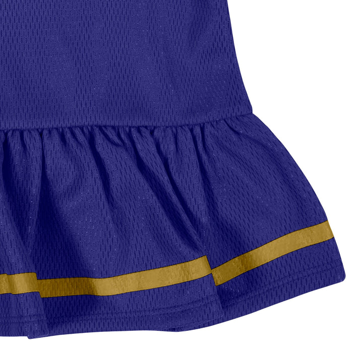 2-Piece Baby Girls Ravens Dress & Diaper Cover Set NFL NFL
