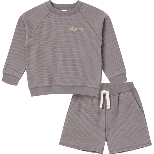 2-Piece Infant & Toddler Boys Grey Long Sleeve Top and Shorts Set outfits Modern Moments™ by Gerber®