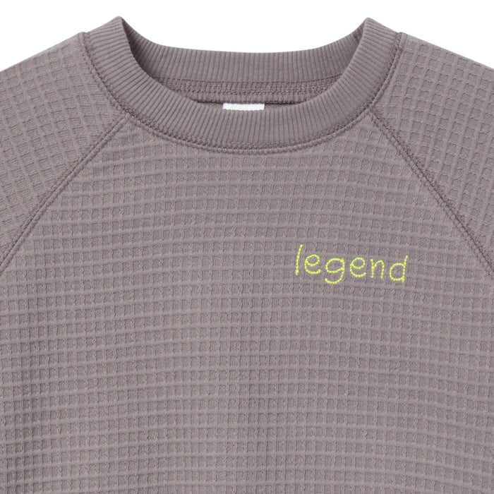 2-Piece Infant & Toddler Boys Grey Long Sleeve Top and Shorts Set outfits Modern Moments™ by Gerber®
