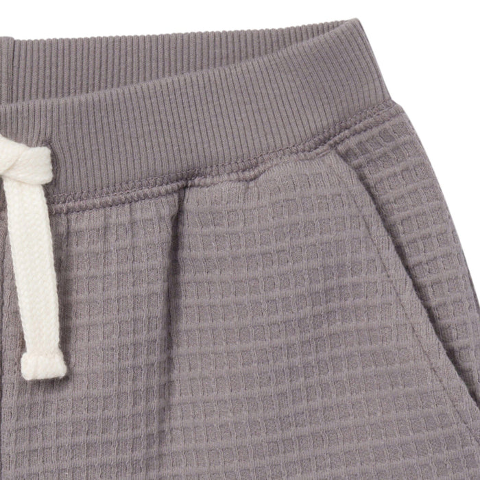 2-Piece Infant & Toddler Boys Grey Long Sleeve Top and Shorts Set outfits Modern Moments™ by Gerber®