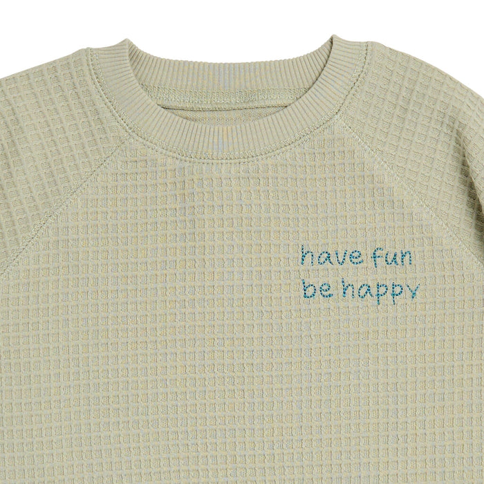 2-Piece Infant & Toddler Boys Light Green Long Sleeve Top and Shorts Set outfits Modern Moments™ by Gerber®
