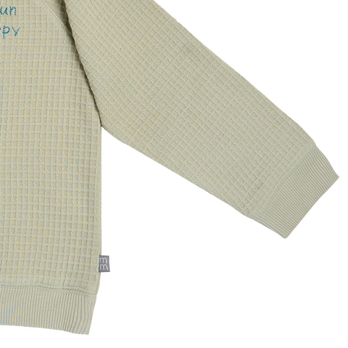 2-Piece Infant & Toddler Boys Light Green Long Sleeve Top and Shorts Set outfits Modern Moments™ by Gerber®