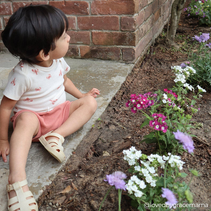 4-Piece Baby Neutral Beige Lobster Short Sleeve Bodysuits and Shorts Set outfits Modern Moments™ by Gerber®