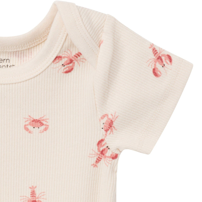 4-Pack Baby Neutral Beige Lobster/Medium Rose Short Sleeve Bodysuit and Shorts Set