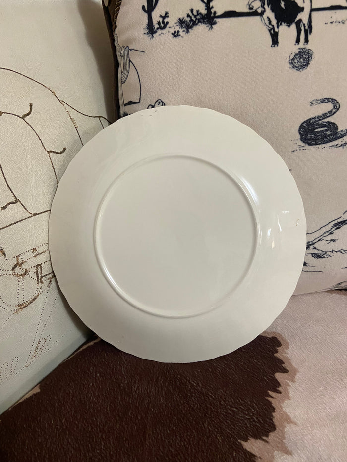 Vintage Nebraska Souvenir Plate 10" - Deer Creek Mercantile