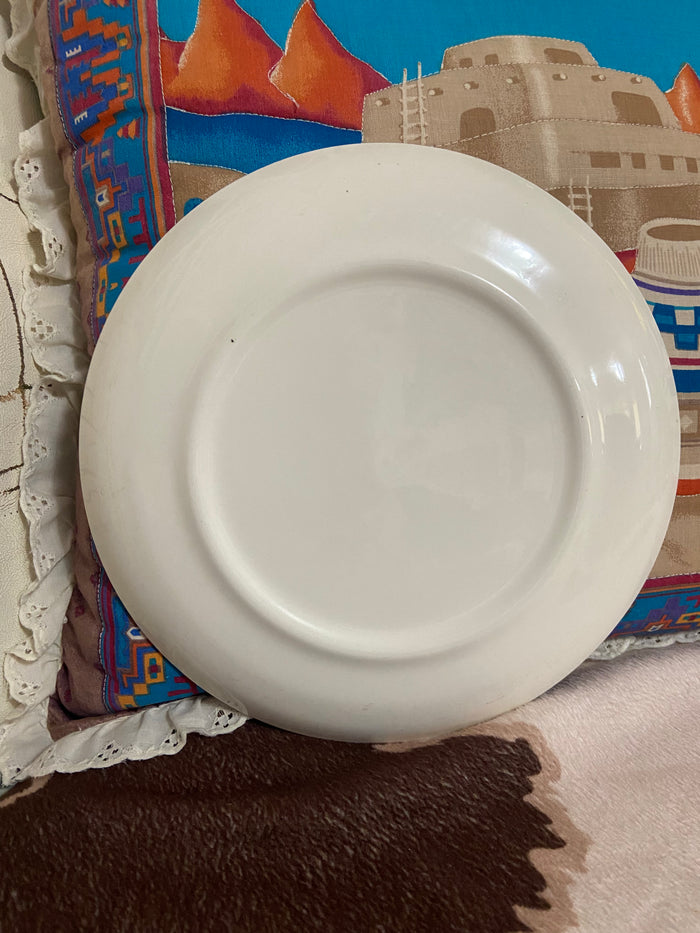 Vintage Myrtle Beach, South Carolina Souvenir Plate 9" - Deer Creek Mercantile