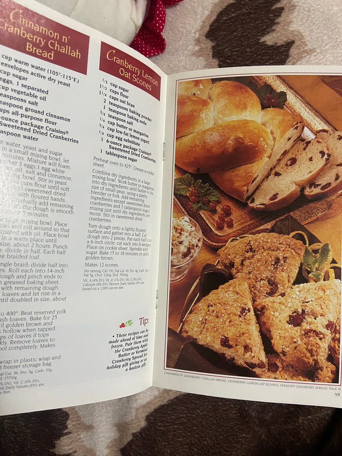Vintage Grocery Store Cookbook Booklet: Pilsbury Holiday Appetizers - Deer Creek Mercantile