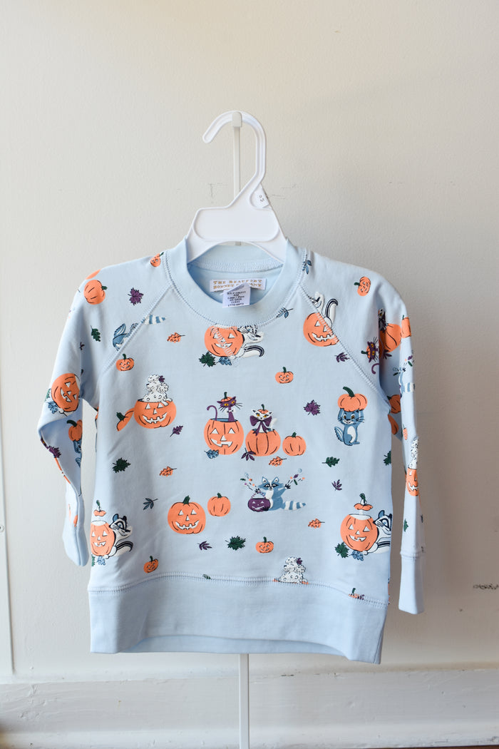 Cassidy Comfy Crewneck-Candy and Critters