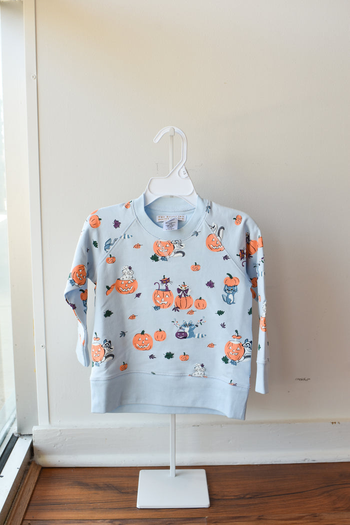 Cassidy Comfy Crewneck-Candy and Critters