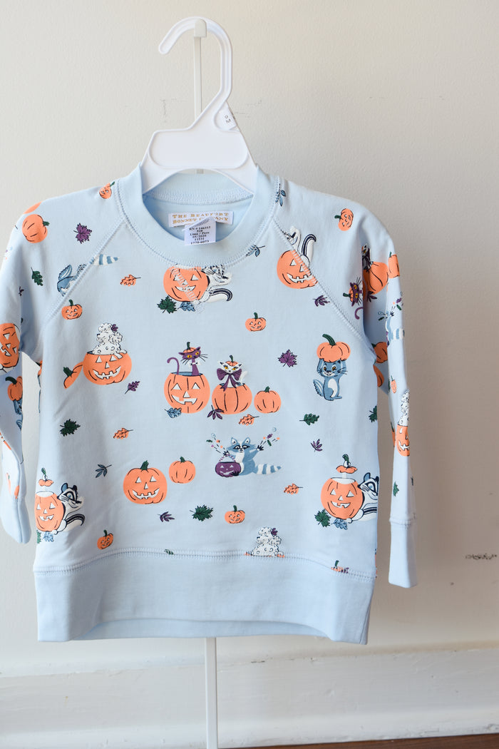 Cassidy Comfy Crewneck-Candy and Critters