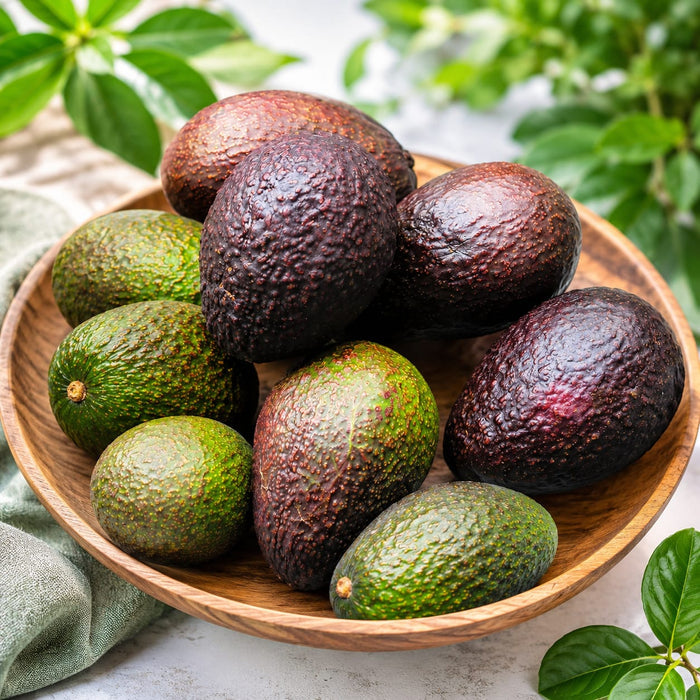 Hass Avocado Mexican (1 piece) - Tayyib Store - Tayyib Foods - Lahore