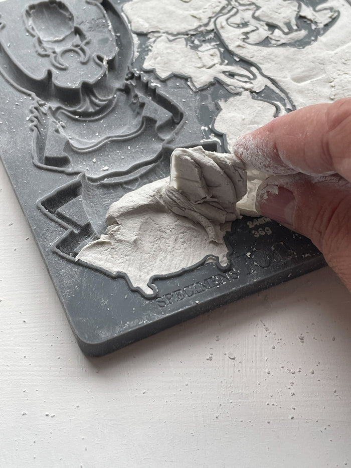 IOD - Specimens Décor Mould