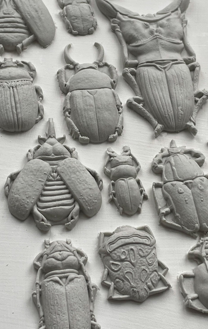 IOD - Specimens Décor Mould