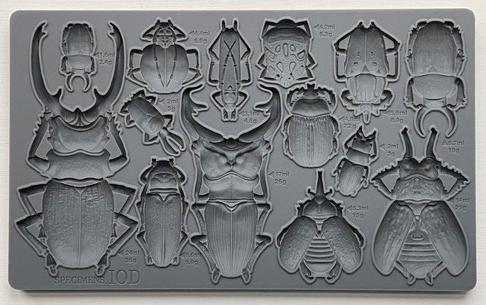 IOD - Specimens Décor Mould