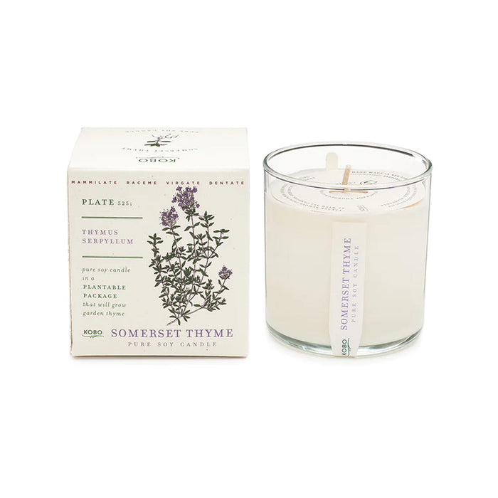 Seeds Collection Soy Candle: Somerset Thyme