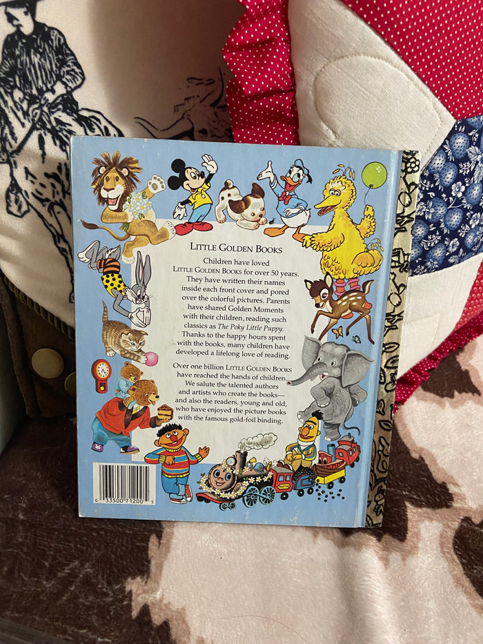 Vintage Little Golden Book - Big Bird Visits Navajo Country, 1992 - Deer Creek Mercantile