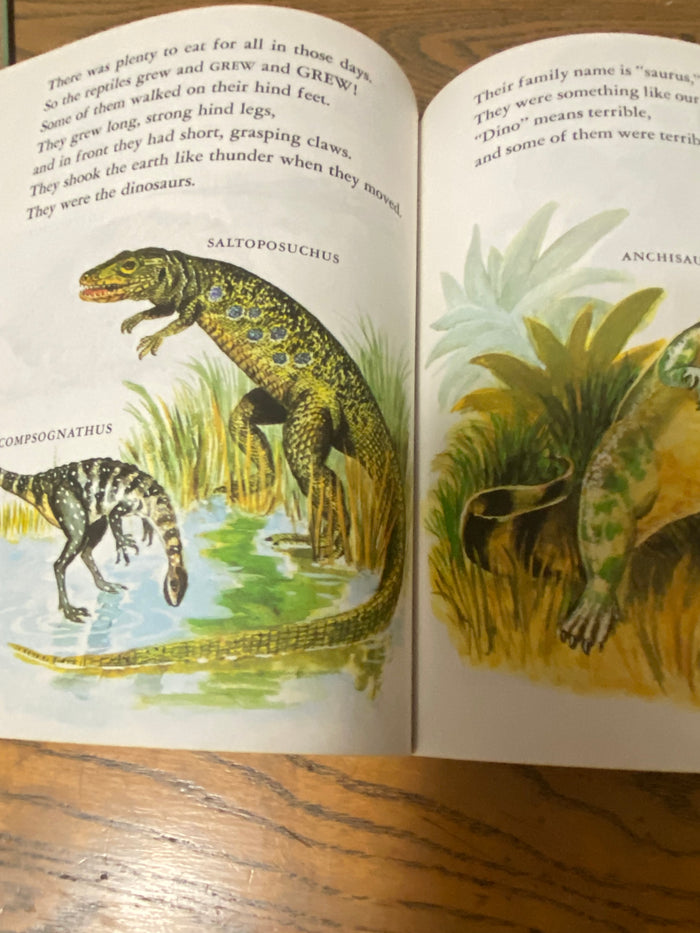 Vintage Little Golden Book - Dinosaurs - Deer Creek Mercantile